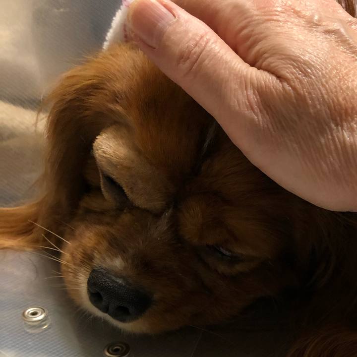 B6e748da e949 4ce3 99b5 e318964a5537 1582325719741