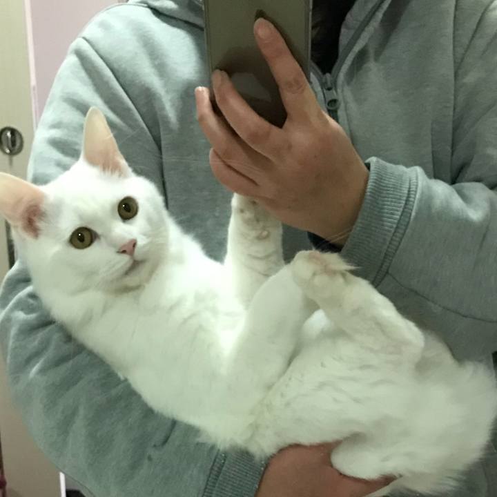 B6e769a2 b62c 4b7a 9bd4 067b59d1a15f 1519643769747