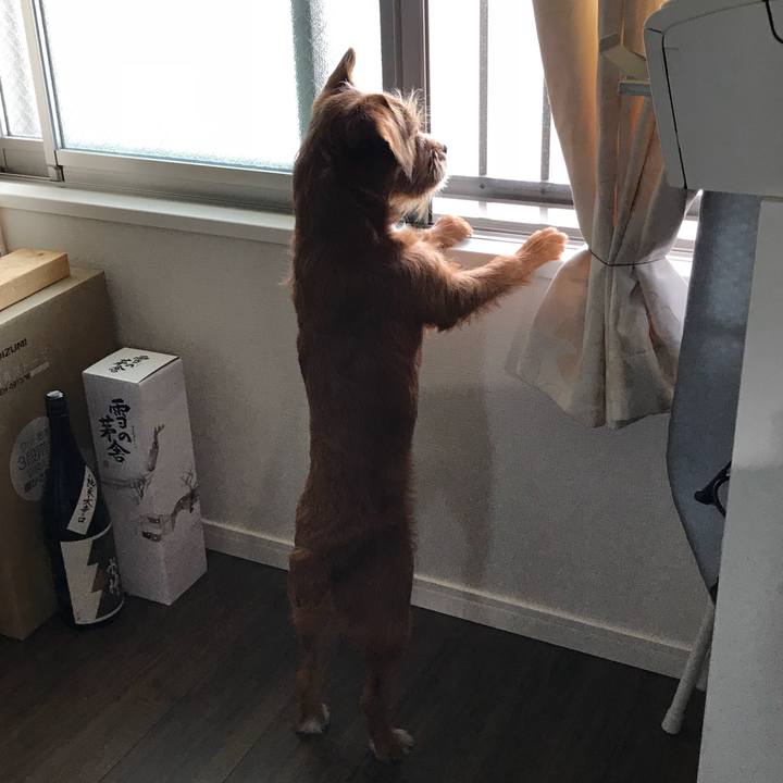 B6e77767 1f9f 4c60 819c 0943e3db0a1d 1530247035327