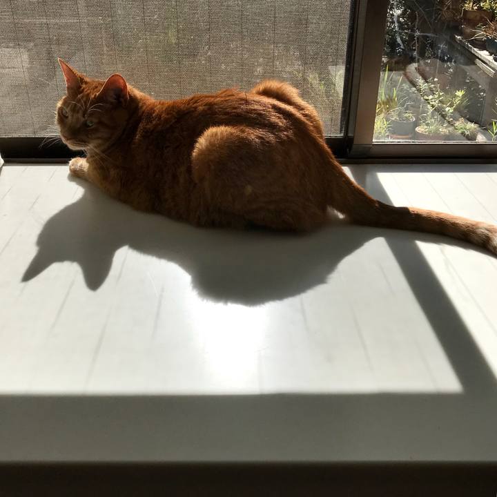 B6e78de4 2246 49d4 bc77 36f3c0743905 1511333674621