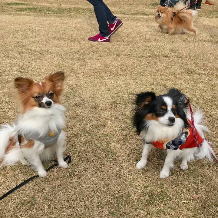 B6e79706 9cef 41bd b63f d4ee838a9df1 1511081333392