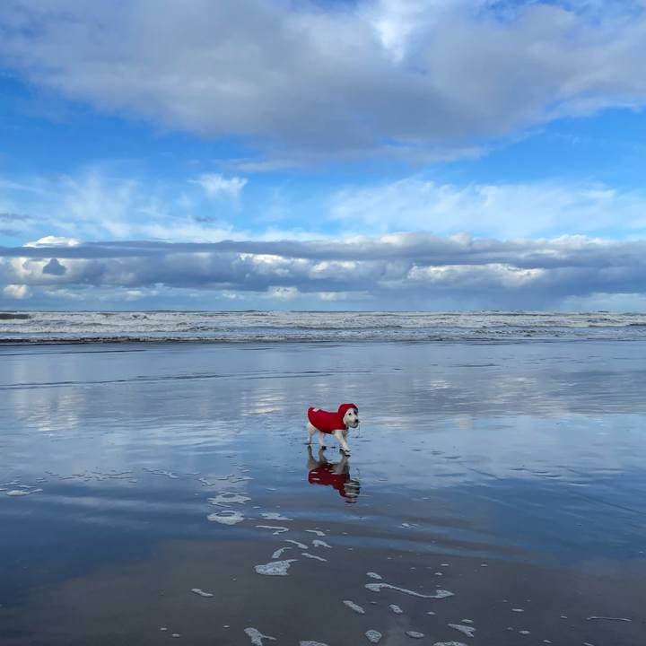 B6e7a840 faec 4c32 920a 1f51c74d1b39 1668413835852