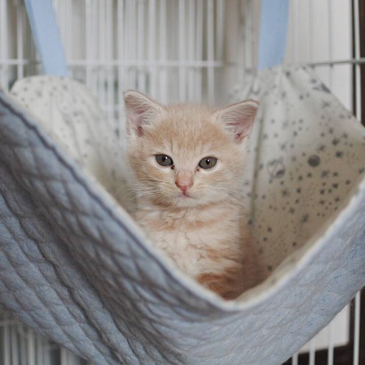 B6e7d6fd cd50 4fcf 9e34 24336aa5d333 1541076978981