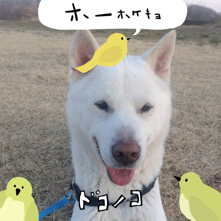 B6e830ea d3aa 47c1 9e93 7d2566020219 1711274782210