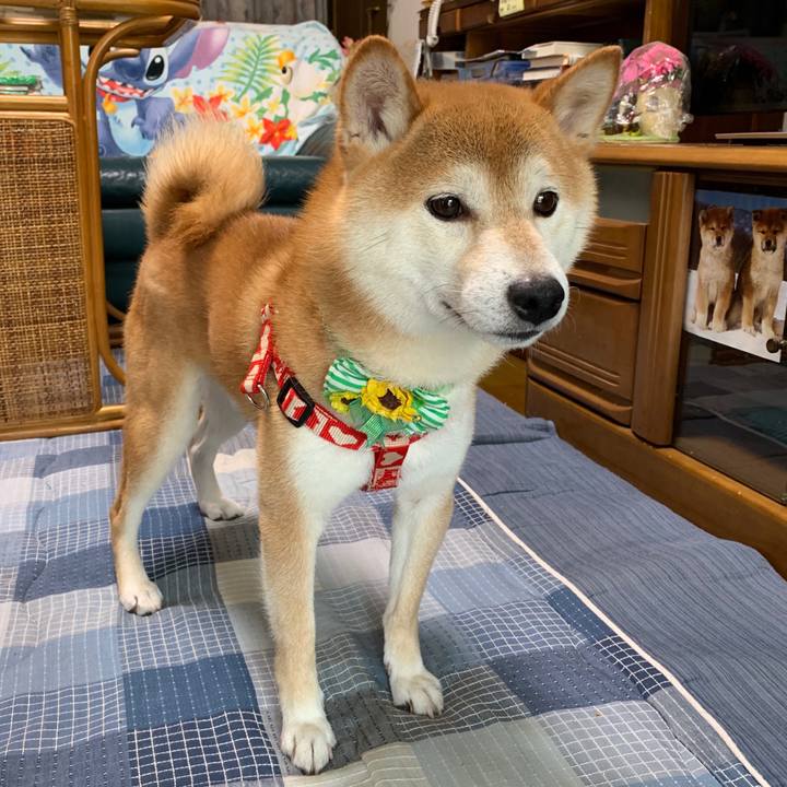 B6e846be c7cf 41e7 be6a 300550c98ee9 1566648768490