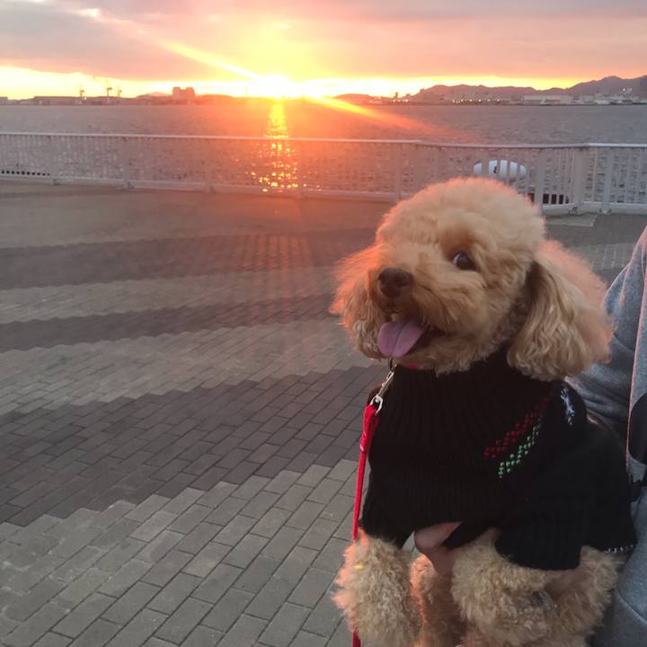 B6e85acf 7843 489d 969e c74b879832fb 1577523354563