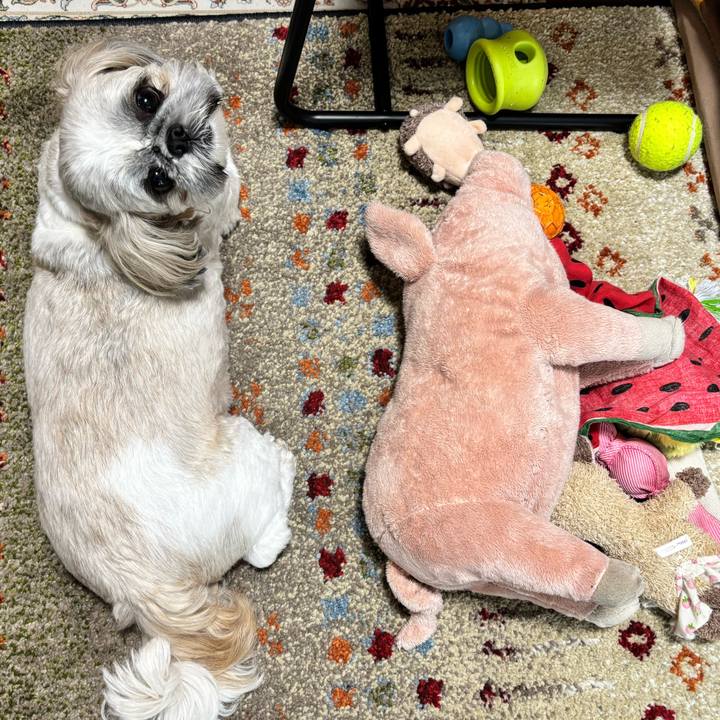 B6e8af7d 903c 4513 93e7 aa5c0598905c 1762677286915