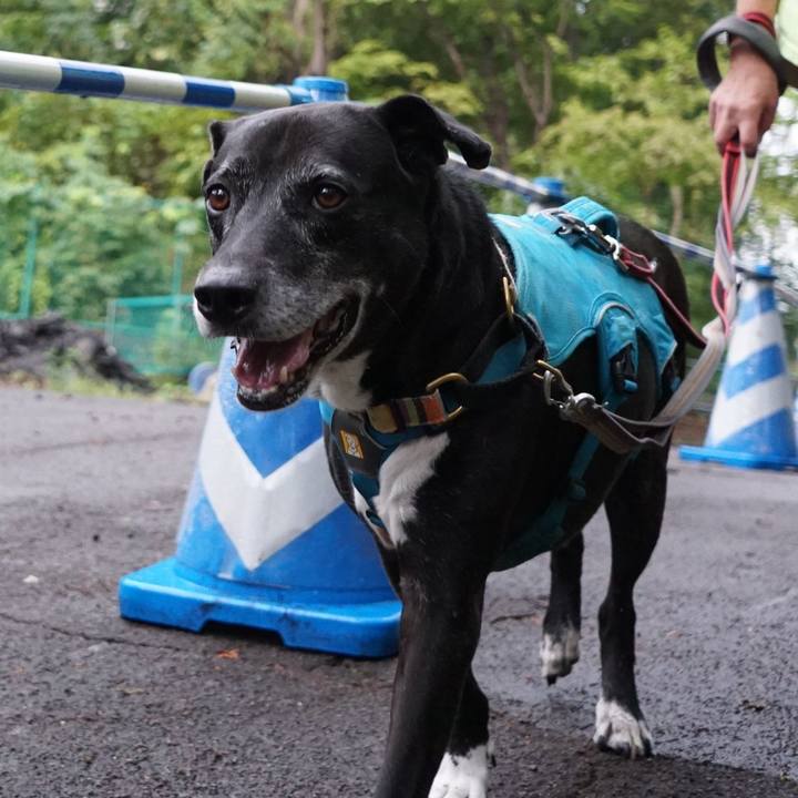 B6e8af7e 3a13 4d78 837c ace170a816b9 1759276269362