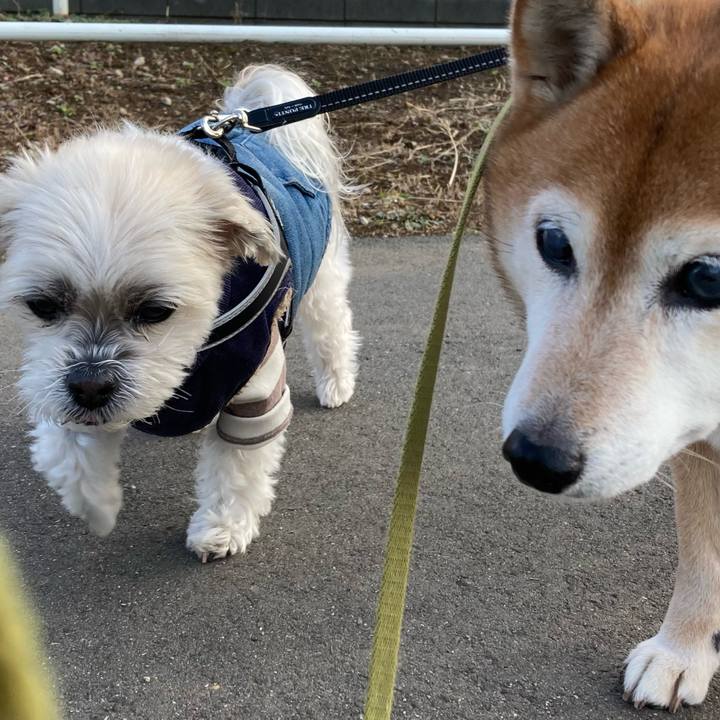 B6e8d164 496f 4d78 9f27 04604dec063c 1709883950227