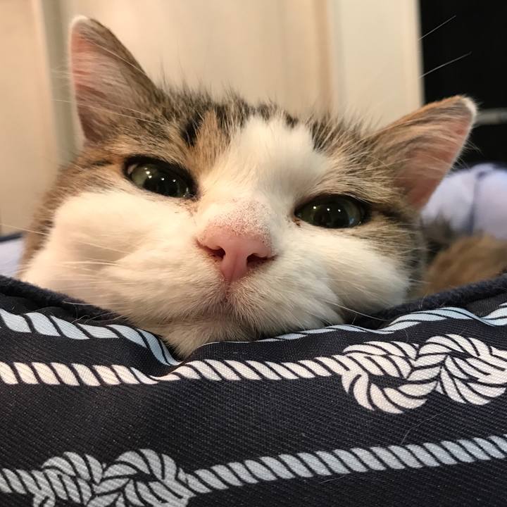 B6e8f0b1 b335 45f2 aa05 8f0f1e5d4aa9 1507906400000