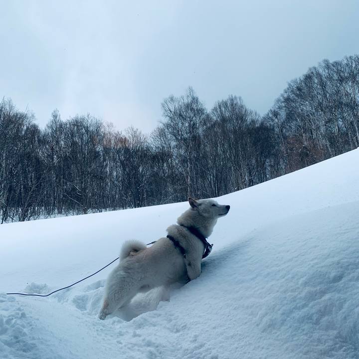 B6e930a5 45d8 4c5f be26 916a5052489d 1645599823101