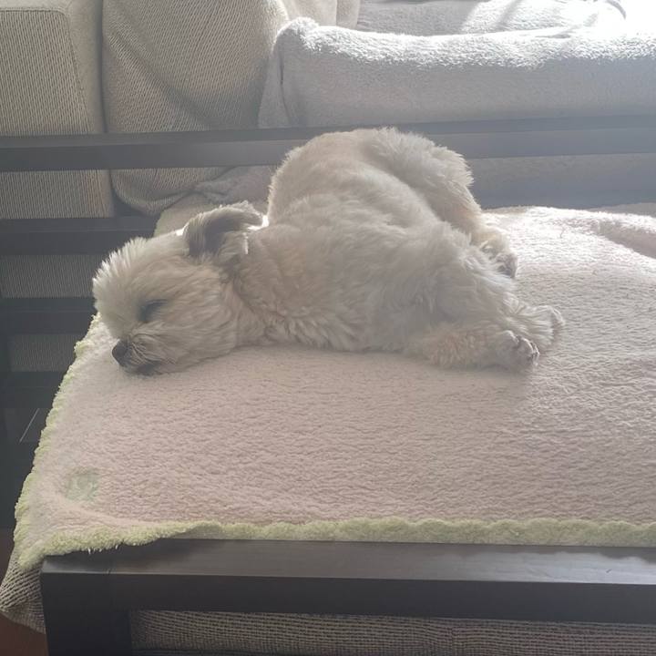 B6e965c5 aac8 4d3f 9968 6e6a08413fcb 1736938500711