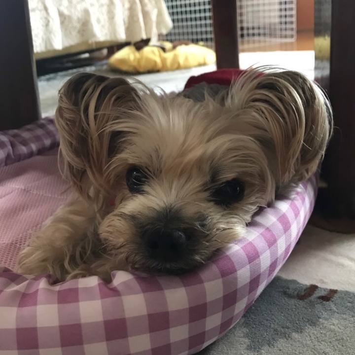 B6e982b3 d9d3 4f7c 9a8c 7e819e83937d 1556778697678