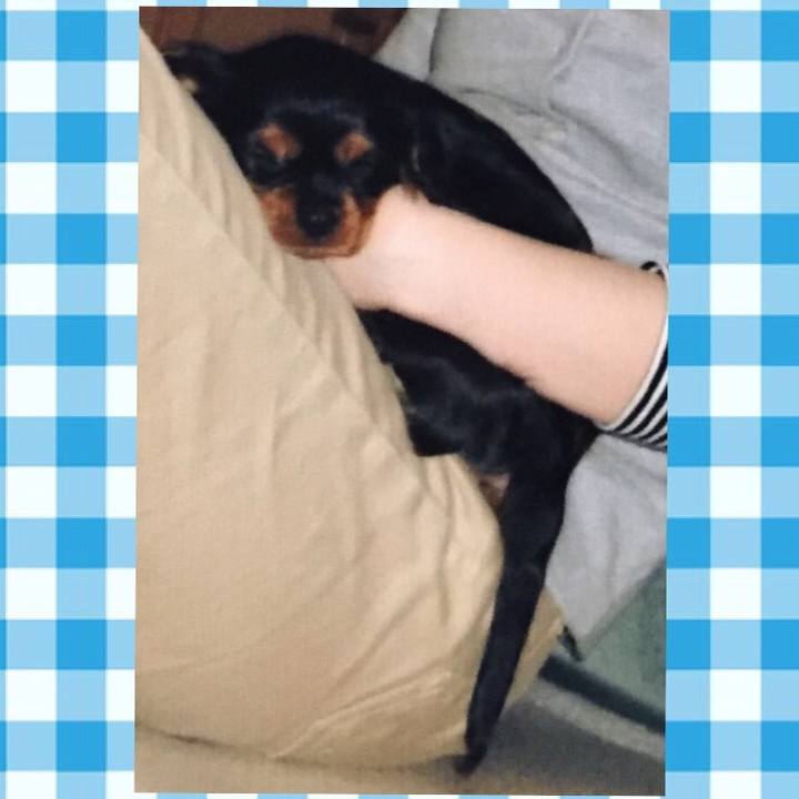 B6e98759 7b15 4bd1 bb79 8f4340b788e8 1522337966740