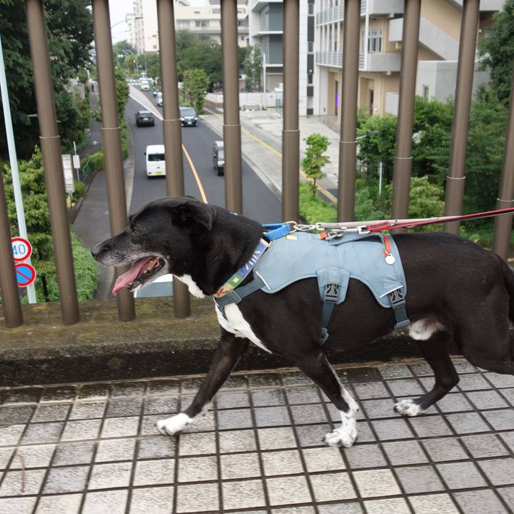 B6e991e2 8598 4a0f 9abf af8a7c9a7f44 1721175249999