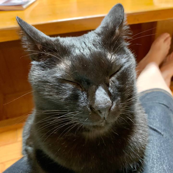 B6e9bd72 6887 46c5 b61d e2bd37d350ac 1570281299971