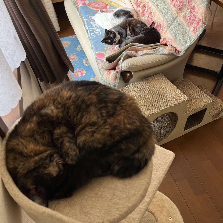 B6ea02ec 1948 493d aea0 12919e114d37 1744253413179