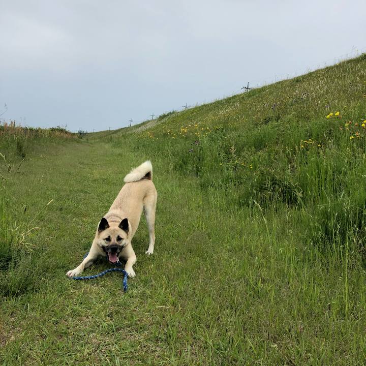 B6ea1c88 0f2f 44f4 a0f0 f3af7f5f6450 1525579819636