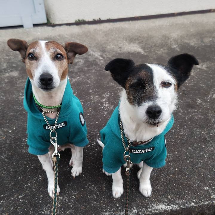 B6ea70b1 4ad9 41bd b00d cda3dfe8b1ad 1770934988878