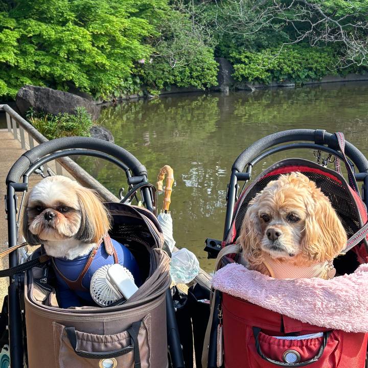 B6ea7638 6134 4001 a19a daaef7c609b4 1776611180521