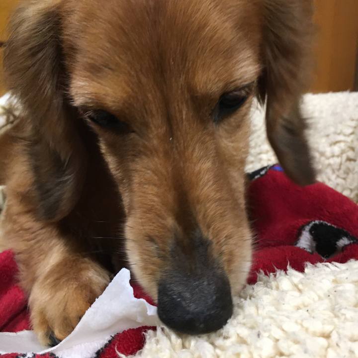 B6ea7dab 6014 4a0f a0cb 11f068c530f6 1586002326703