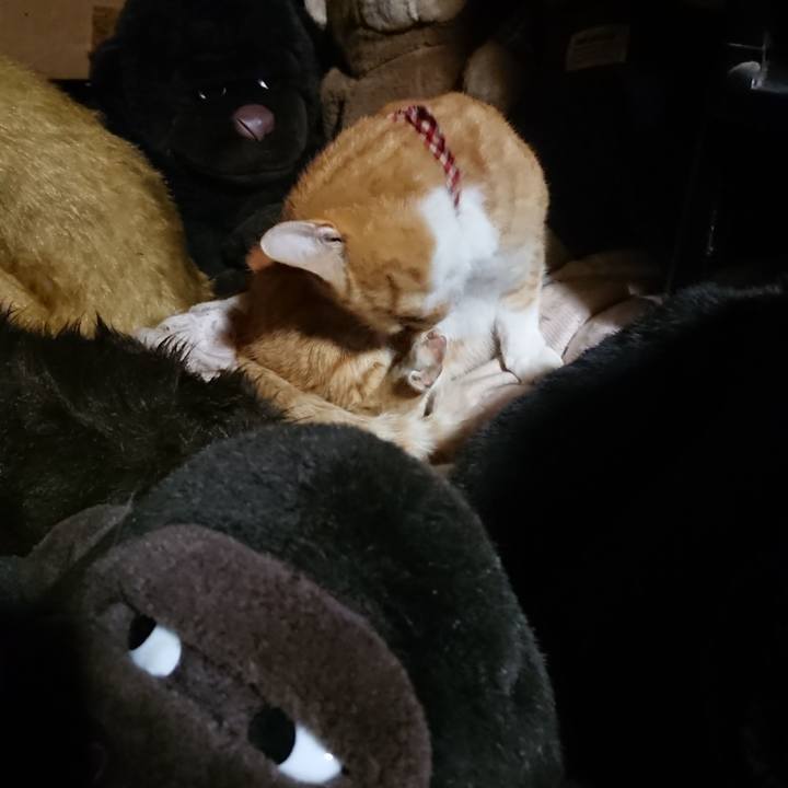 B6ead430 5e2a 4612 be53 b71e15c00464 1606561505760