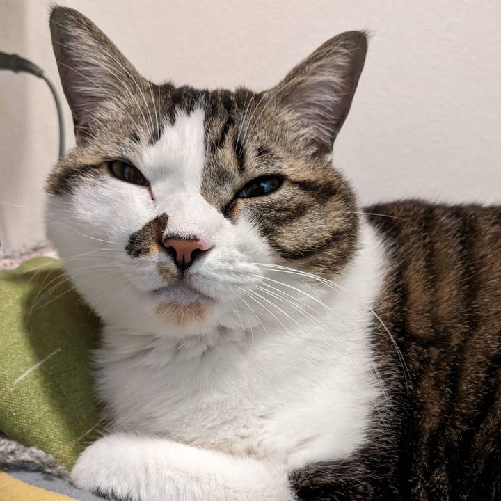 B6eb5e76 f5f2 4f7e 9bee 5056f44b7443 1704800527117