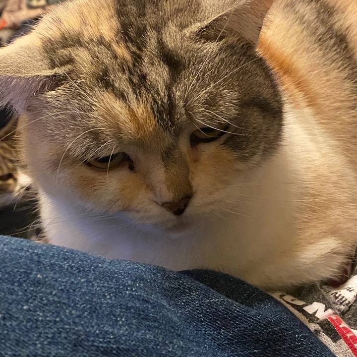 B6eb8036 c13e 4966 989a 90275d521c97 1586539762394