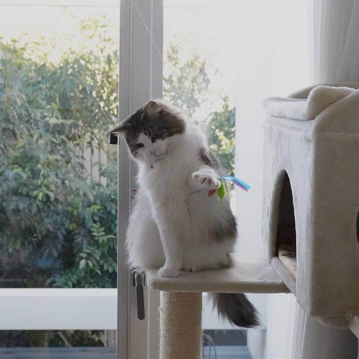 B6eb86d5 86e8 4bc5 9846 b1606efa2689 1642132999018