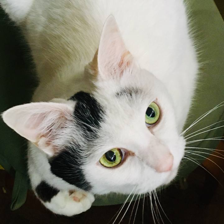 B6ebb70a 2fad 4c03 a93b 222490f04237 1561431861920