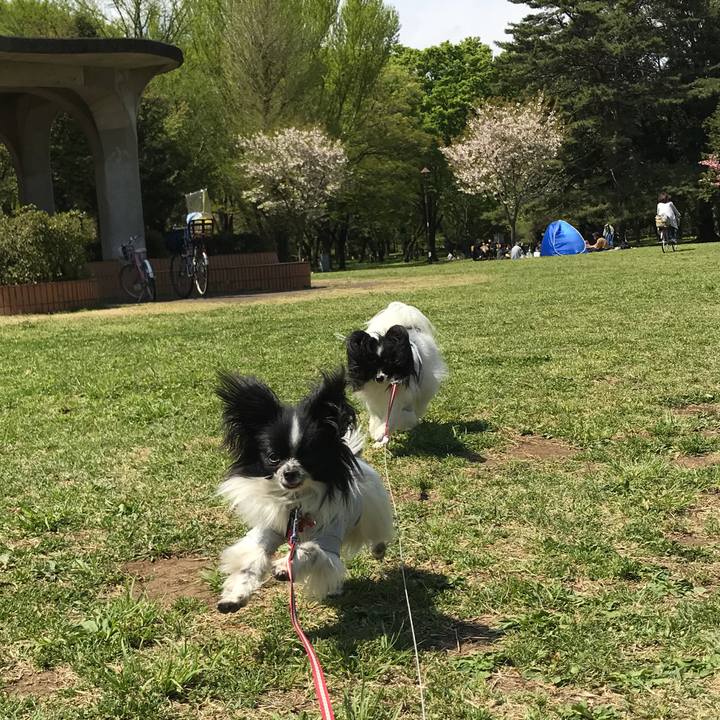 B6ebe128 5377 4605 8c40 f6fd673d898e 1523178909922