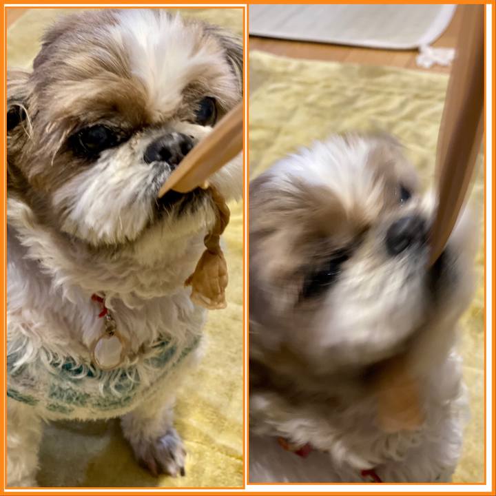 B6ebf13a 0022 43cf 98b3 dcc6413dcd7a 1673528704751