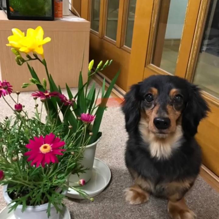 B6ec527b efdc 4b70 9f6b bd88ce3b1e0b 1580766502586