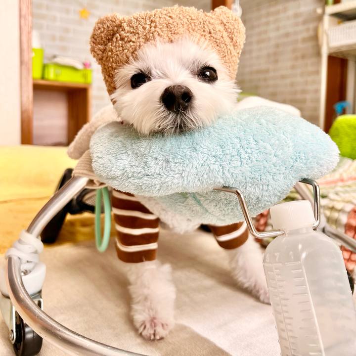 B6ec730c e3e6 47da 8534 5f380a3b22f2 1699071972425