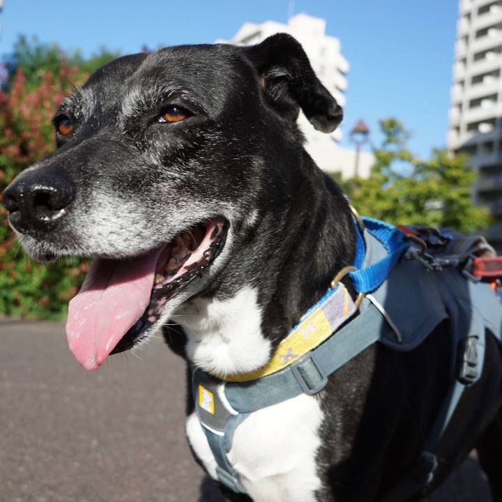 B6ec771f 19ce 48cf 9790 97c48804208b 1759884098960