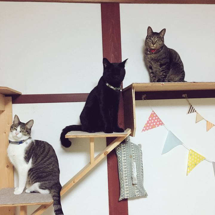 B6ecb520 7e9c 42ab bcf3 d671b9619ba3 1542110724066