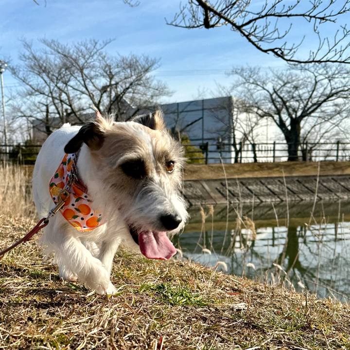 B6ecba5a 9ce8 43f7 9f4a 95e7633dafb8 1707489280875