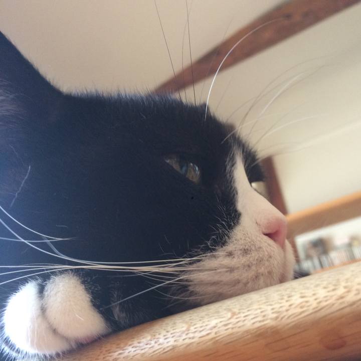 B6ed2027 fa76 4440 aa46 f908086a5800 1535669755599