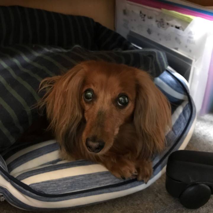 B6ed3105 1e72 46b4 9d84 ce8236810fcd 1554851639561