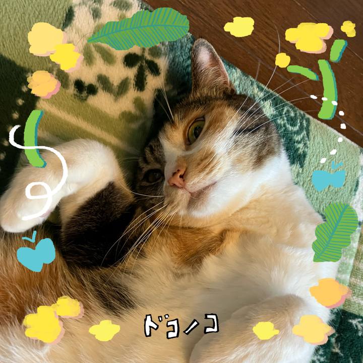 B6ed8e00 464a 43a1 81c4 6f08f8d0a2ab 1744339515064