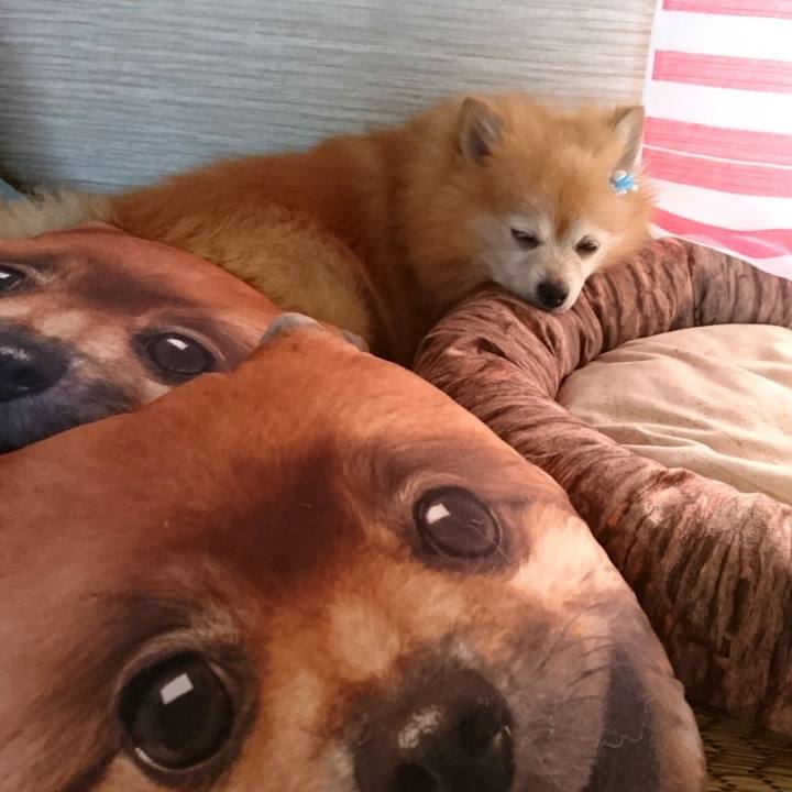 B6eda047 f4b1 4d32 a74f 1933a679d270 1562715530188