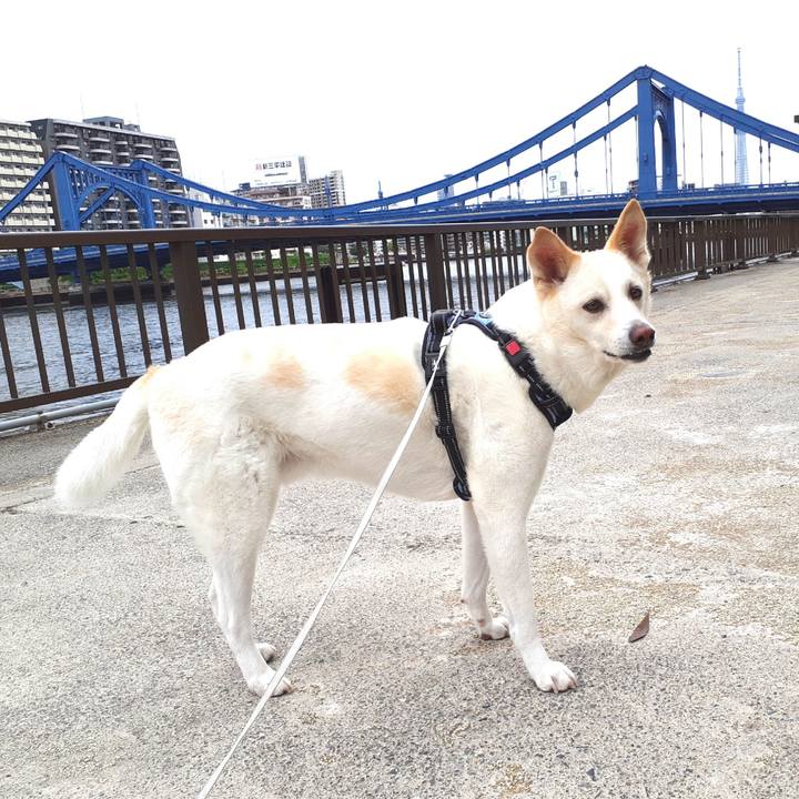 B6eda911 f8be 4cd3 9d69 a8ad70ee031c 1652588143351