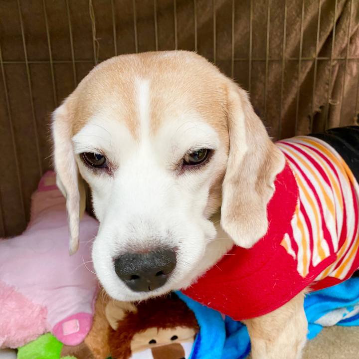 B6edf462 7745 496b b041 4080af0fb638 1581999507030