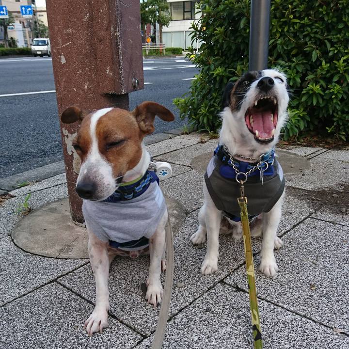 B6ee6bdf 7f67 45b6 b927 89212aea3c88 1568237514933