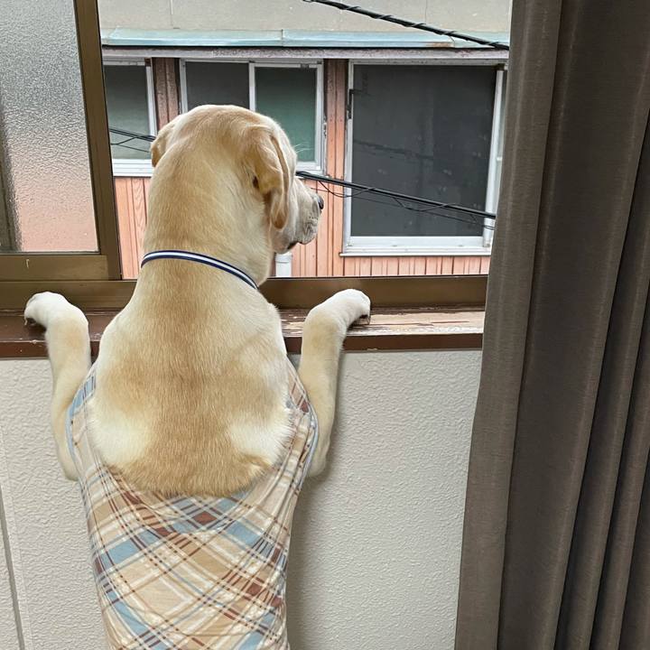 B6ee9de4 1869 45a6 8797 1ffb8a143240 1628416263086