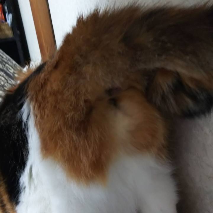 B6eea6a6 2570 43e3 b0fc b0eac22d6fba 1576155700750