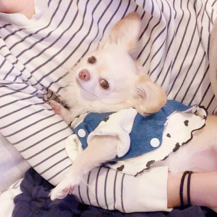 B6eecfd6 044c 4b7c 892d e65fa29f61fe 1733023758432