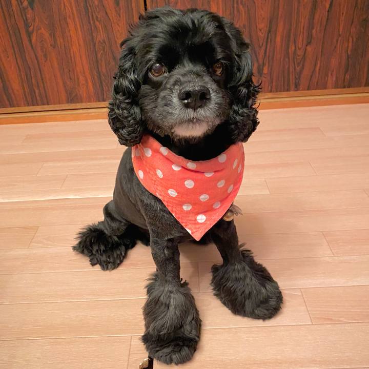 B6eedace 2646 45fb a216 71c997be4c6f 1632138962888