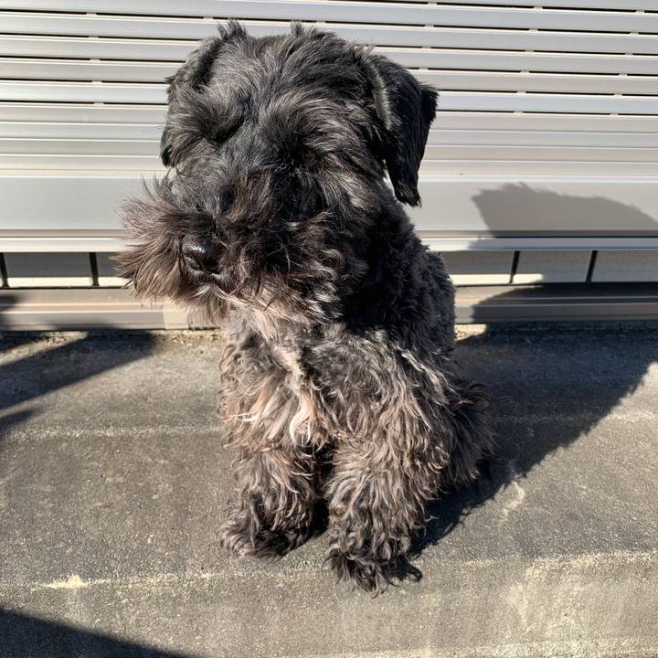 B6eef25b 9eb0 473e b6b5 94aec7a3068d 1610514975532