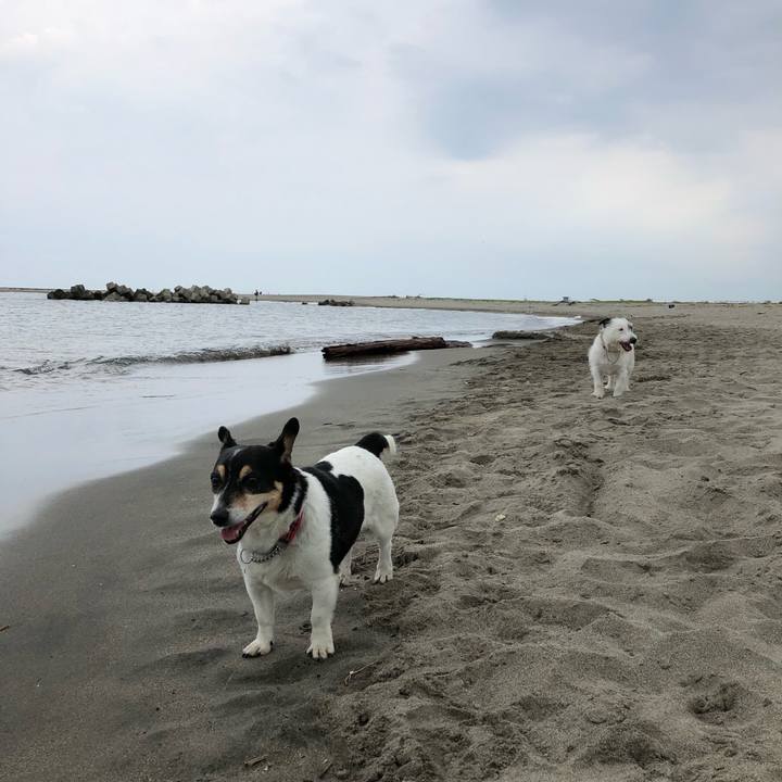 B6efb420 eb8d 4cb9 9c27 69c91140f50d 1533427511860